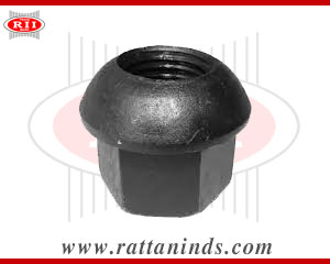 Dome Nut Anchor Nut Spherical Dome Nut Forged Dome Nut manufacturers in india punjab ludhiana