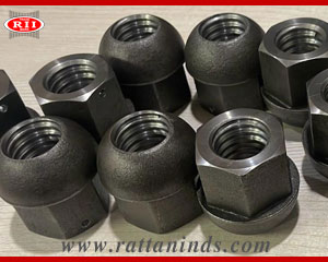 Dome Nut Anchor Nut Spherical Dome Nut Forged Dome Nut manufacturers in india punjab ludhiana