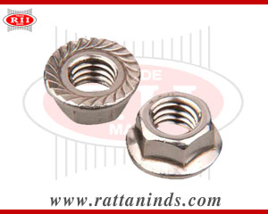 Flange Nut manufacturers exporters india